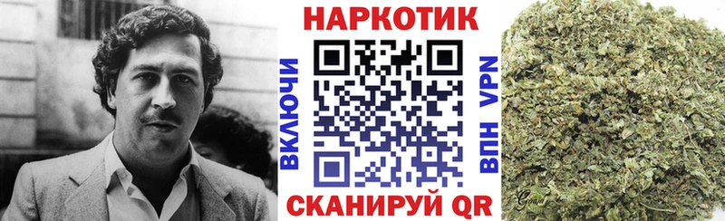 Виды наркотиков купить Петрозаводск Кокаин  СК  Каннабис 